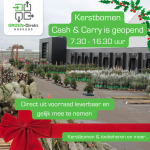 Kerstbomen Cash & Carry